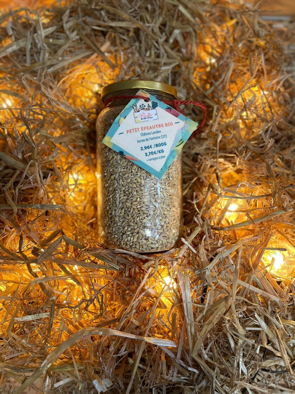 Petit épeautre BIO - 800gr